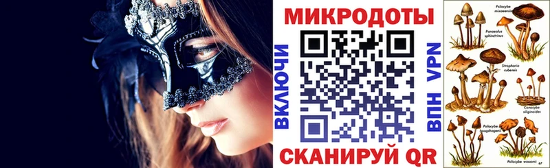 купить   Зверево  Псилоцибиновые грибы Magic Shrooms 